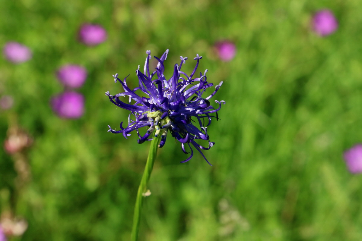 2017_05_25_032185p_Bildgr��e �ndern