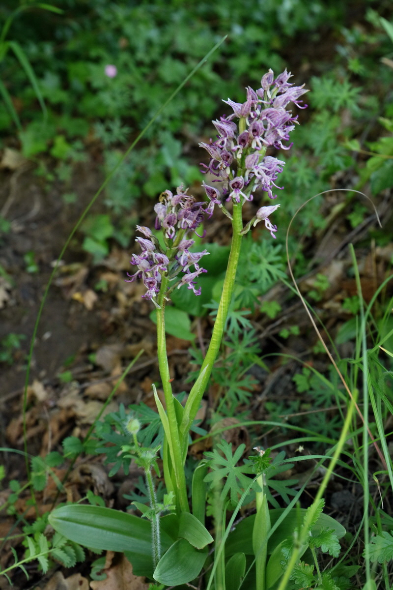 2017_05_25_032220p_Bildgr��e �ndern