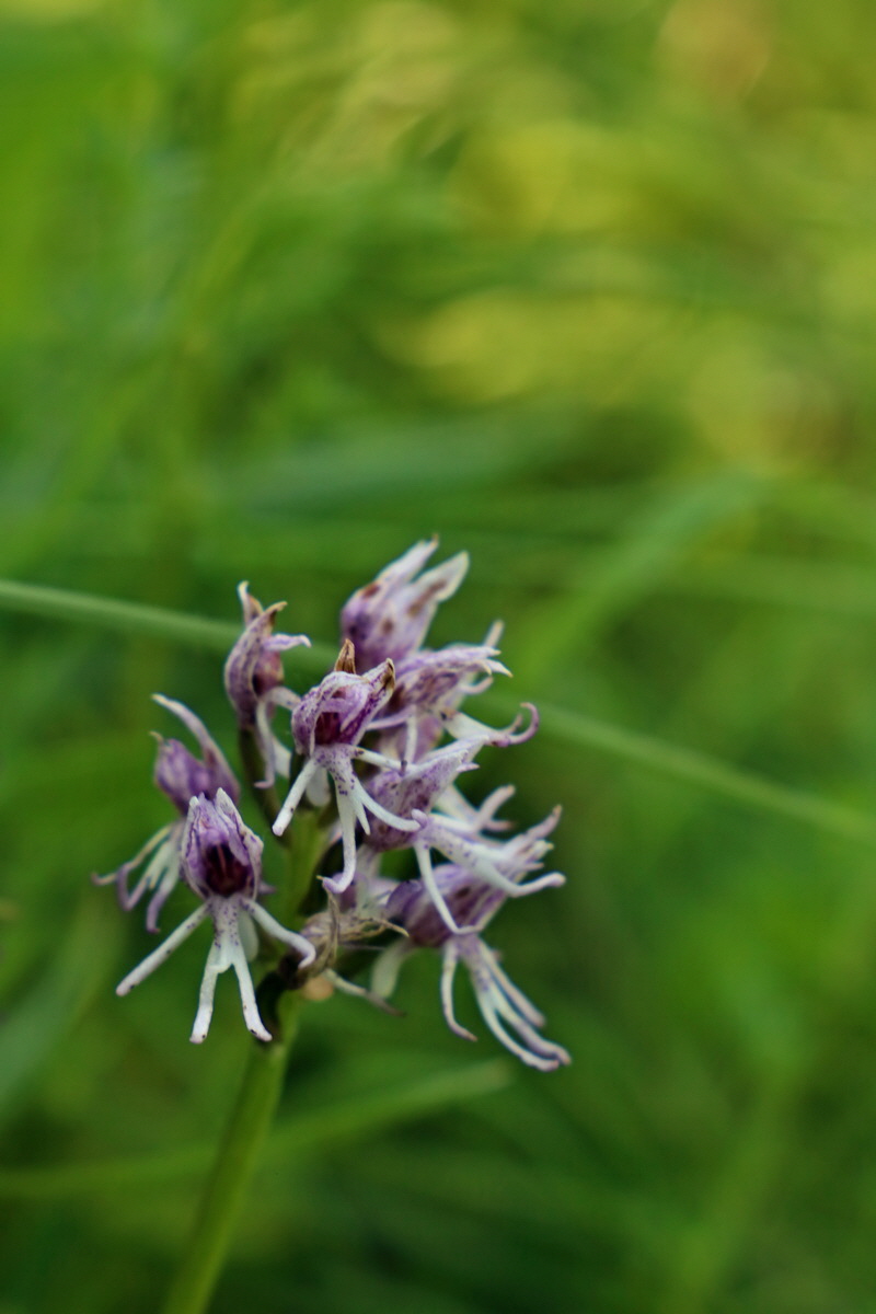 2017_05_25_032258p_Bildgr��e �ndern