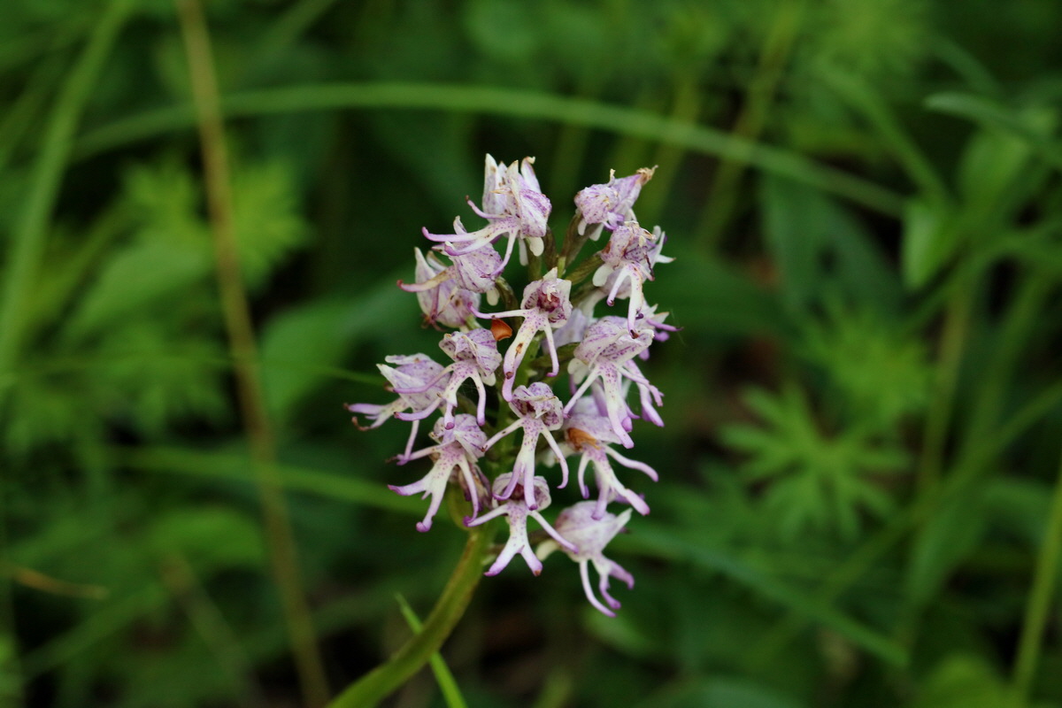 2017_05_25_032264p_Bildgr��e �ndern