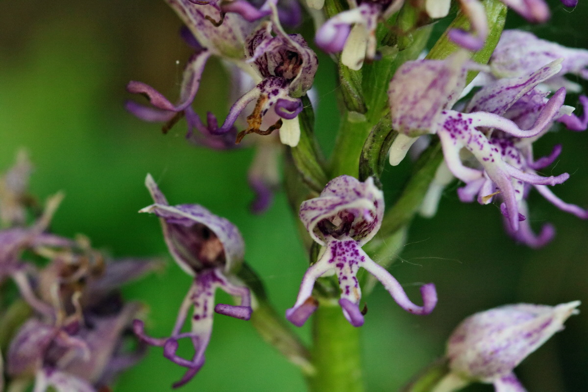 2017_05_25_032401p_Bildgr��e �ndern