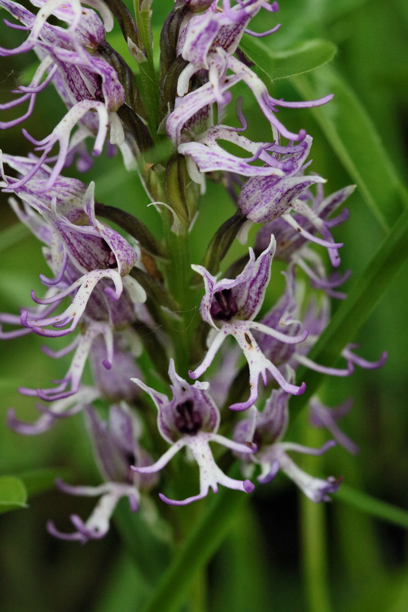 2017_05_25_032434p_Bildgr��e �ndern