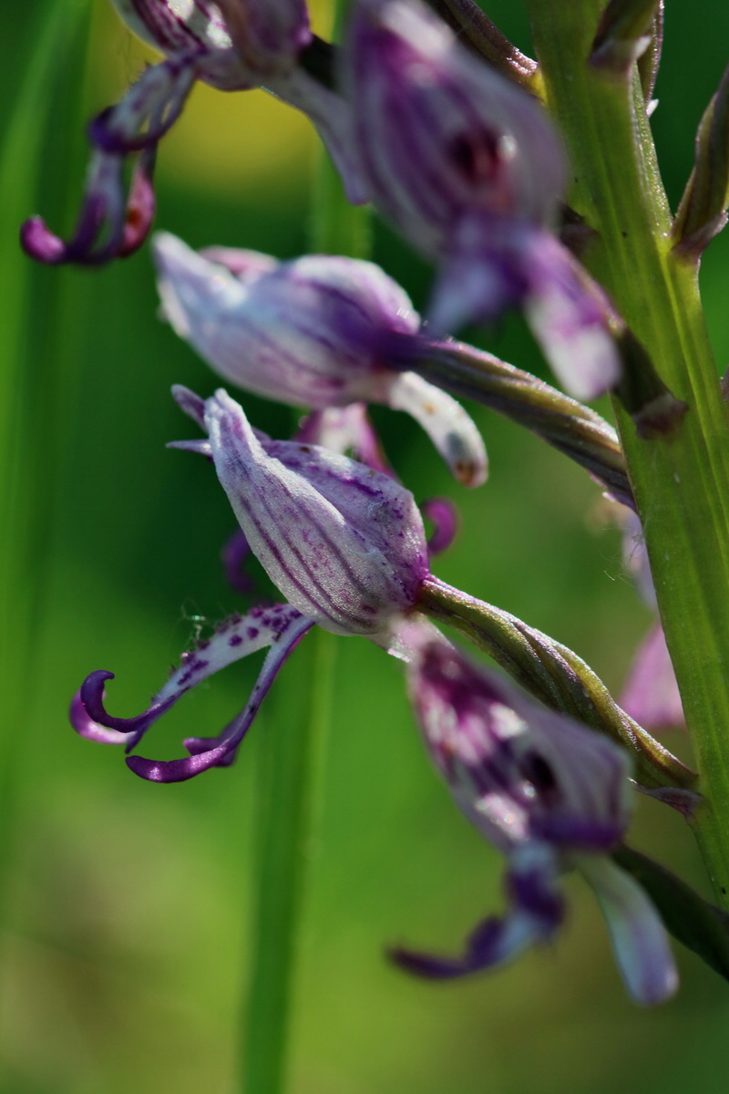 2017_05_25_032479p_Bildgr��e �ndern