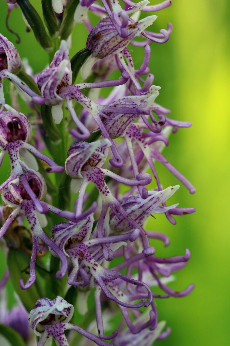 2017_05_25_032485p_Bildgr��e �ndern