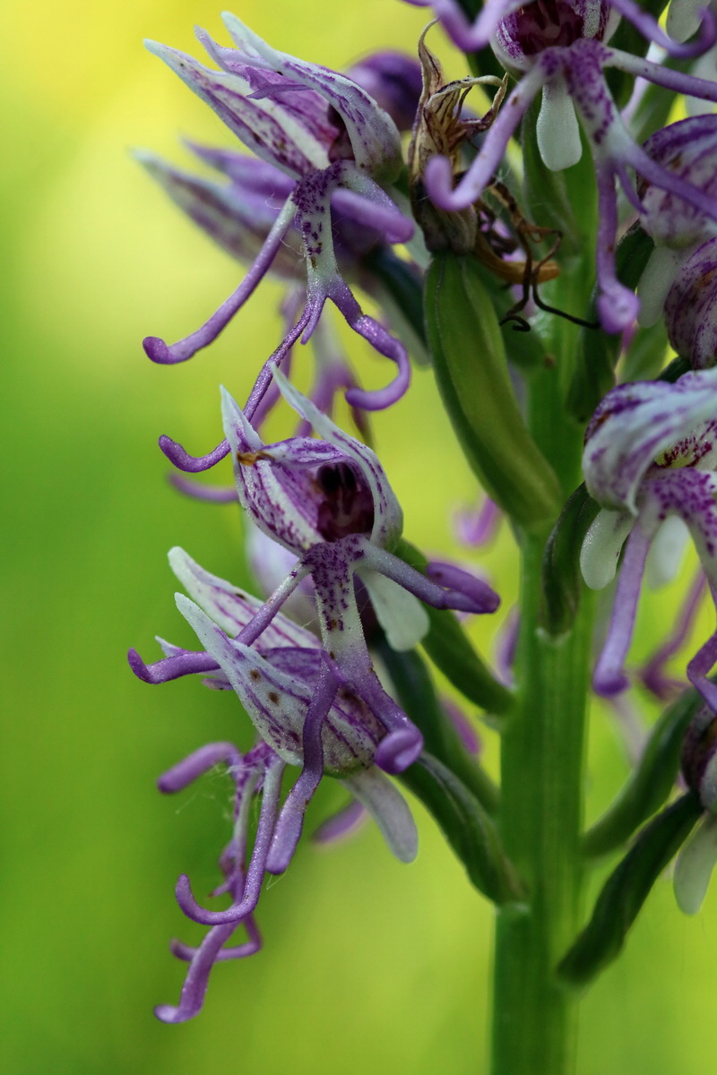 2017_05_25_032526p_Bildgr��e �ndern