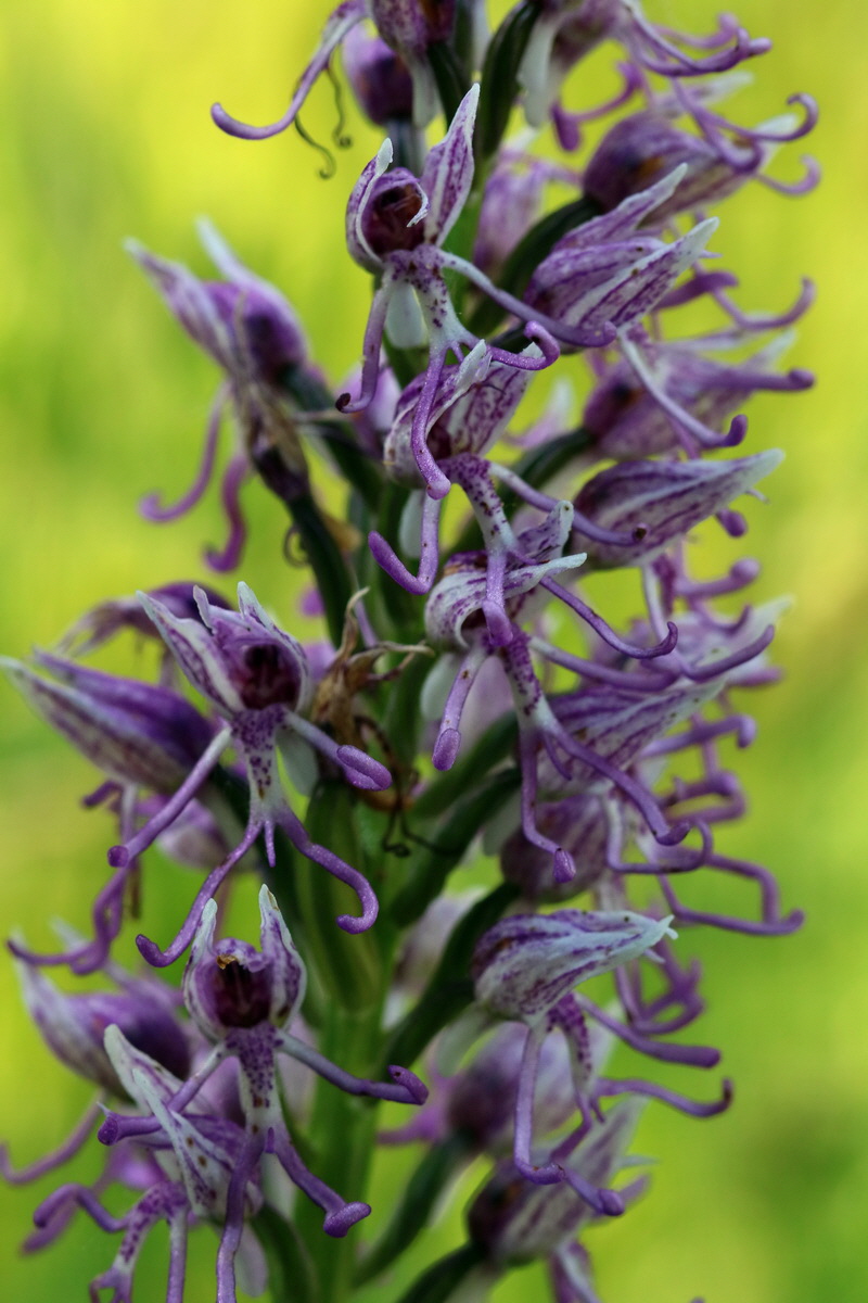 2017_05_25_032535p_Bildgr��e �ndern