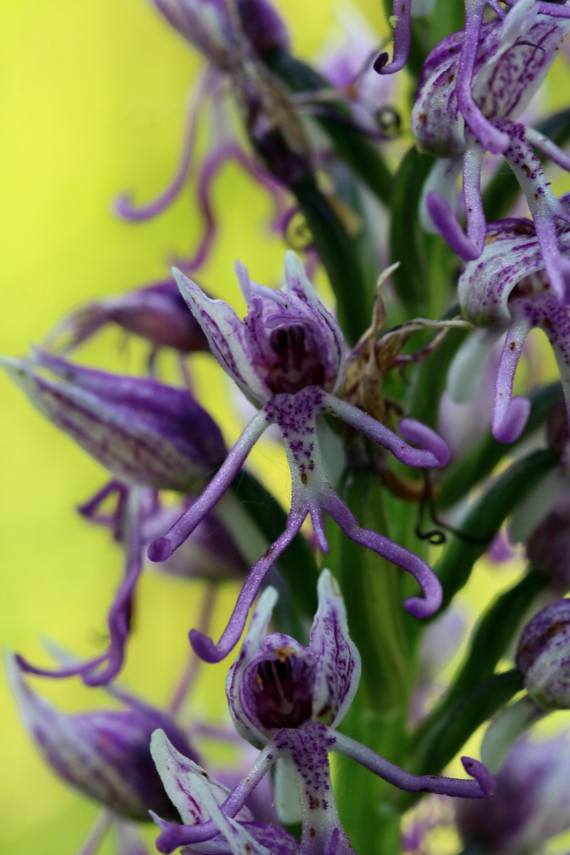 2017_05_25_032538p_Bildgr��e �ndern