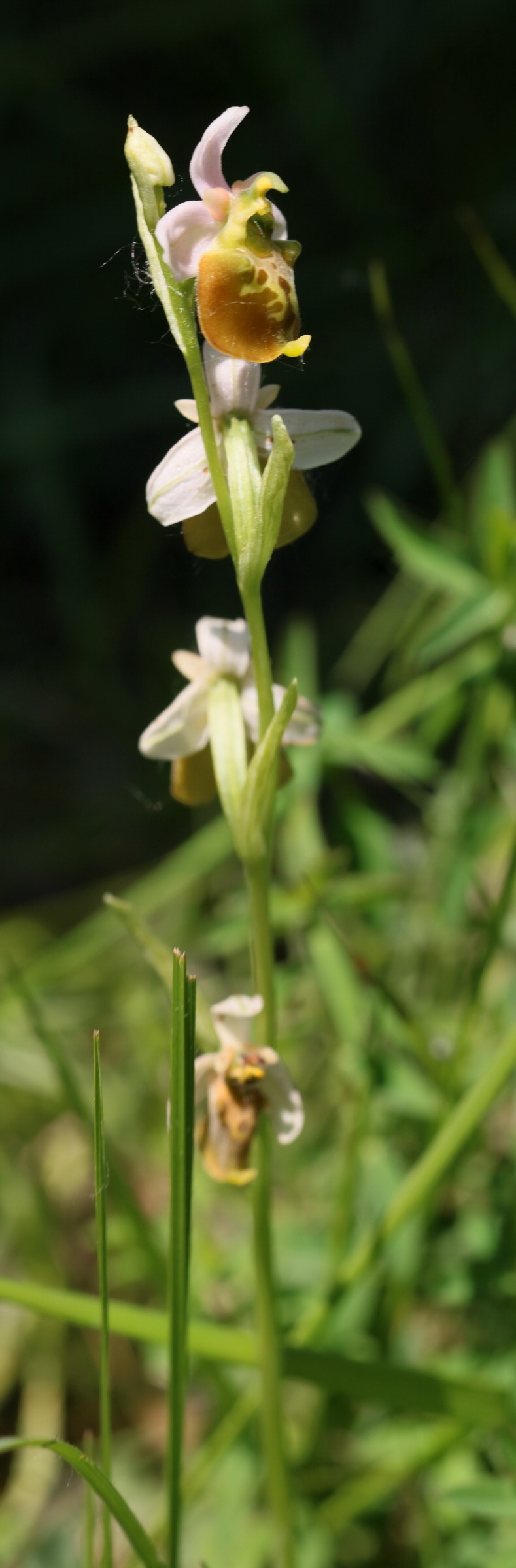 [Group 13]-2017_05_26_033286_2017_05_26_033297-12 images_Bildgr��e �ndern