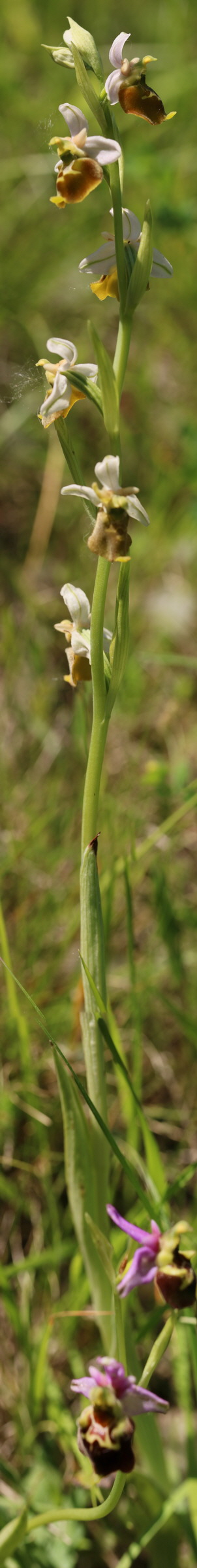 [Group 13]-2017_05_26_033299_2017_05_26_033333-35 images_Bildgr��e �ndern