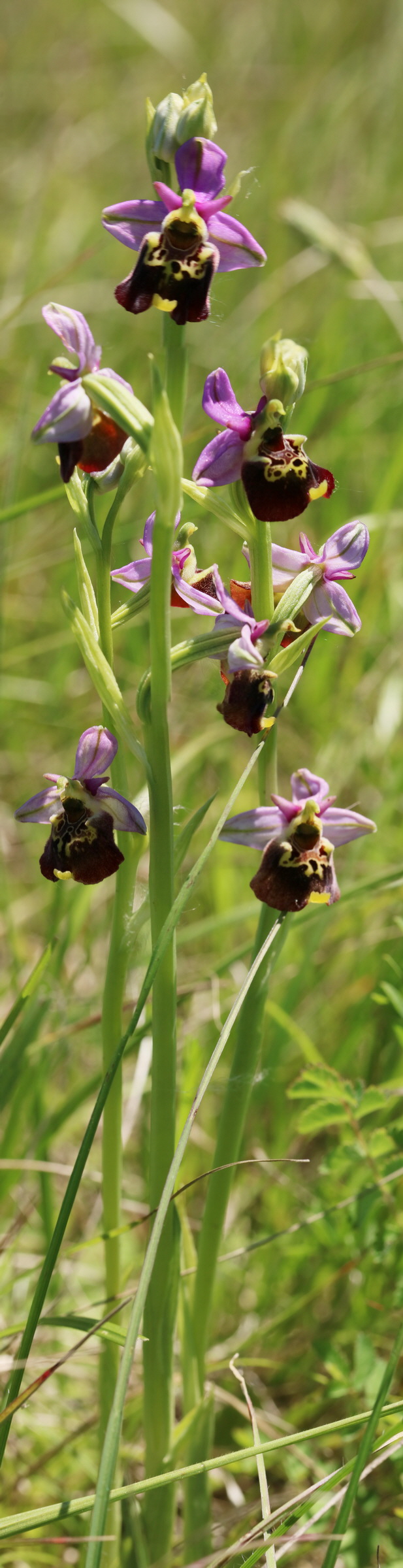 [Group 22]-2017_05_26_033593_2017_05_26_033613-21 images_Bildgr��e �ndern