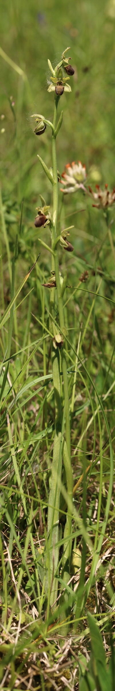 [Group 25]-2017_05_26_032766_2017_05_26_032792-27 images_Bildgr��e �ndern