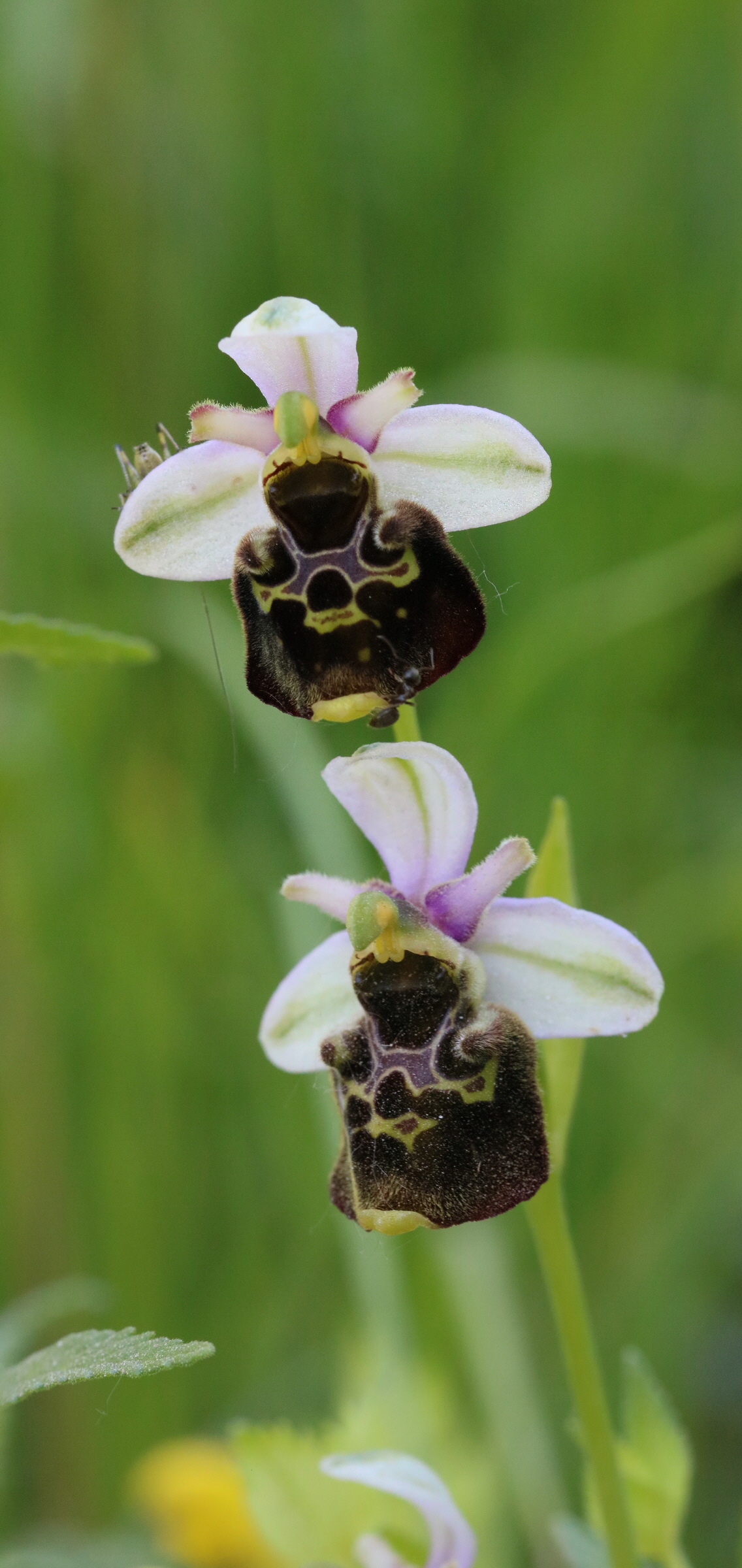 [Group 4]-2017_05_26_032968_2017_05_26_032973-6 images_Bildgr��e �ndern