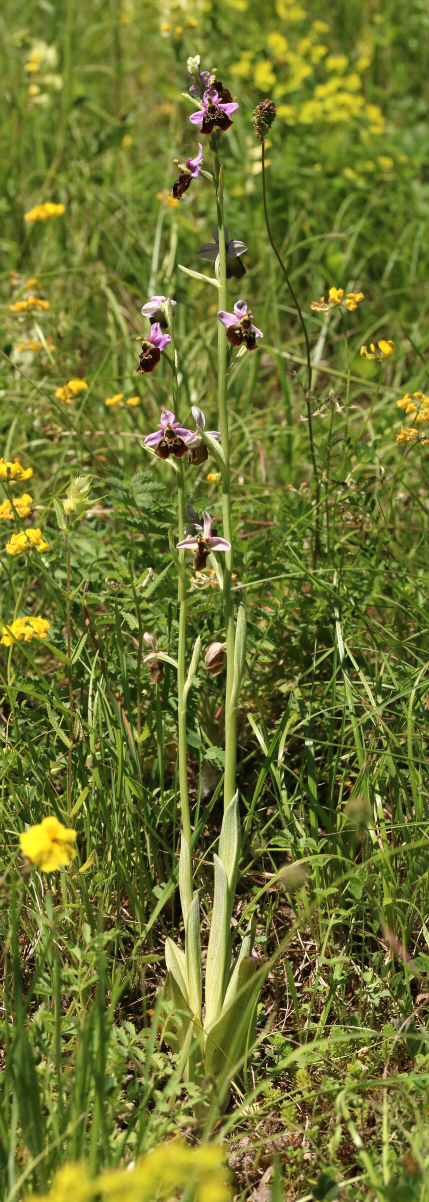 [Group 6]-2017_05_26_033003_2017_05_26_033027-25 images_Bildgr��e �ndern