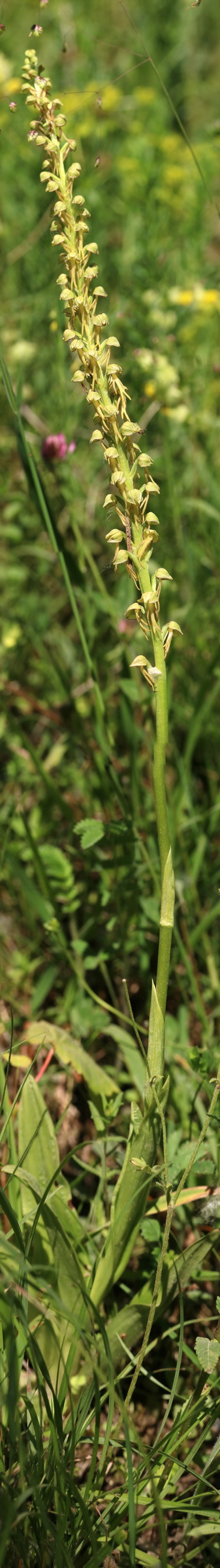 [Group 6]-2017_05_26_033050_2017_05_26_033088-39 images_Bildgr��e �ndern