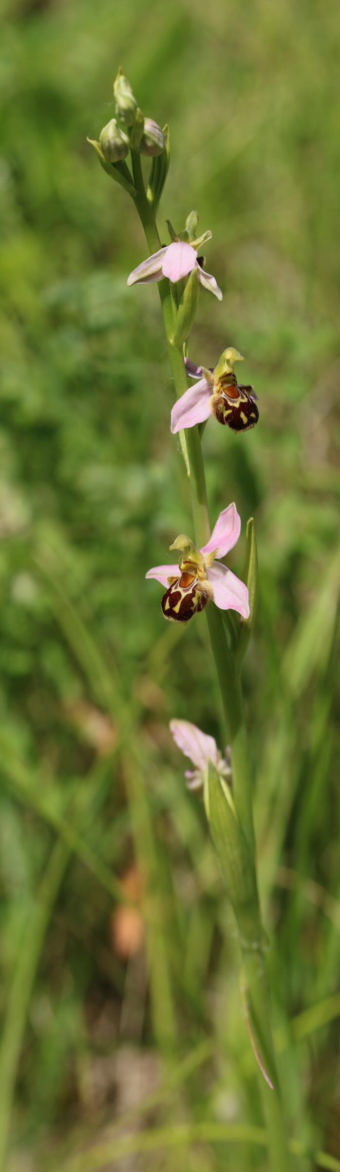 [Group 9]-2017_05_26_033118_2017_05_26_033144-27 images_Bildgr��e �ndern