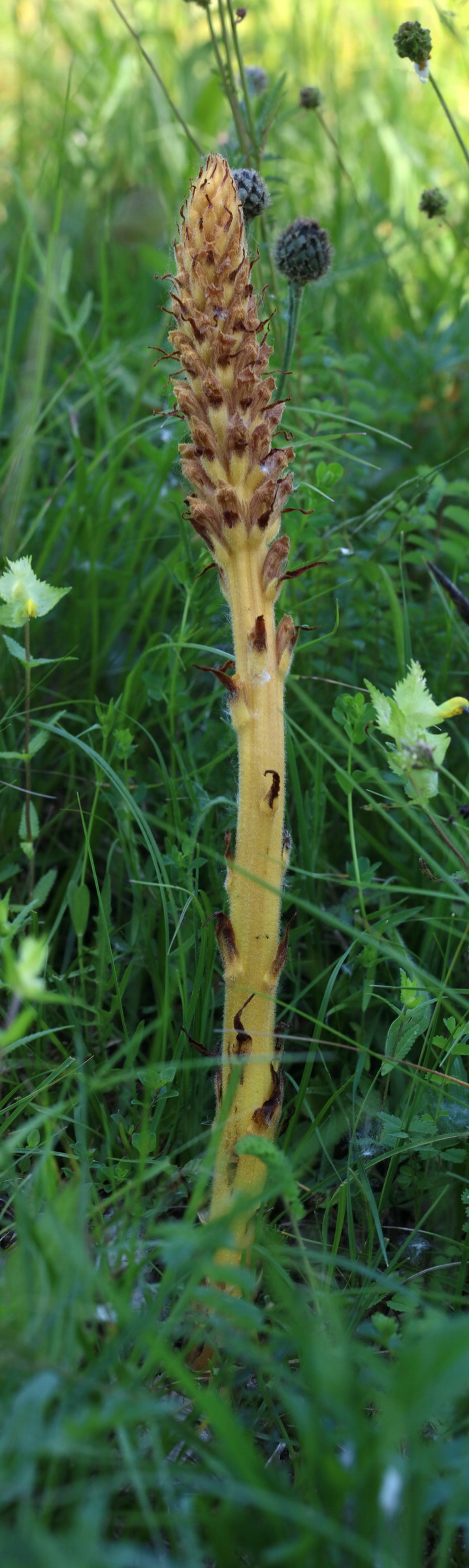 [Group 9]-2017_05_26_033145_2017_05_26_033166-22 images_Bildgr��e �ndern