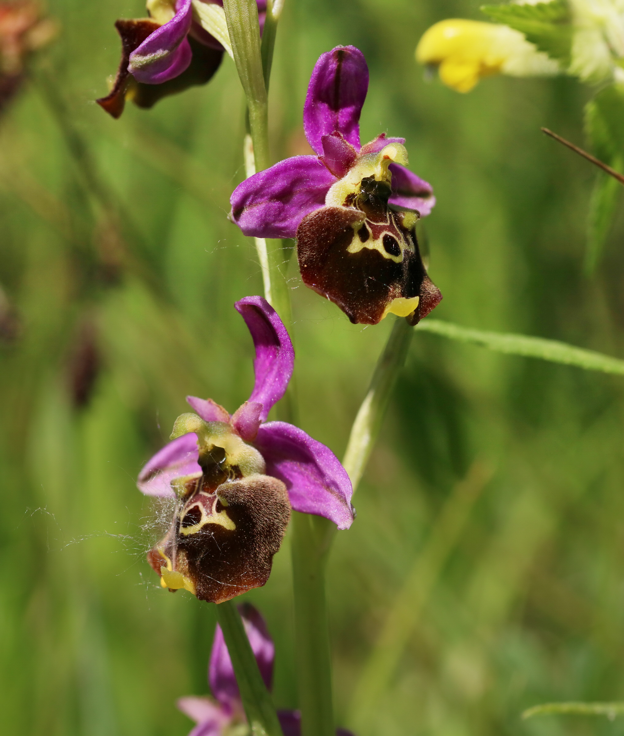 [Group 9]-2017_05_26_033174_2017_05_26_033180-7 images_Bildgr��e �ndern