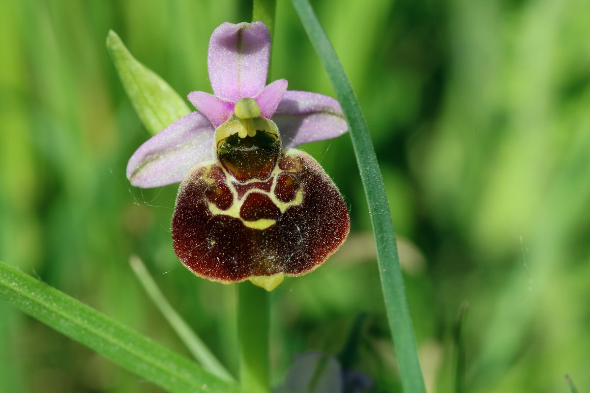 2017_05_26_032582p_Bildgr��e �ndern