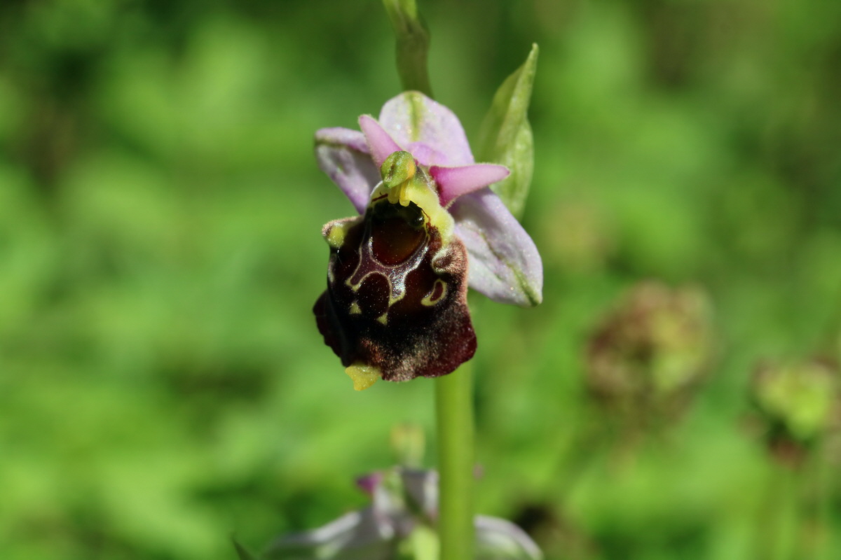 2017_05_26_032593p_Bildgr��e �ndern