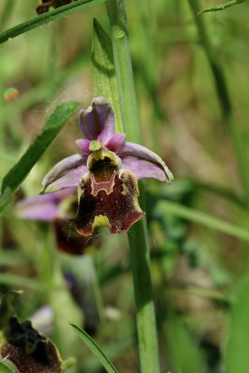 2017_05_26_032662p_Bildgr��e �ndern