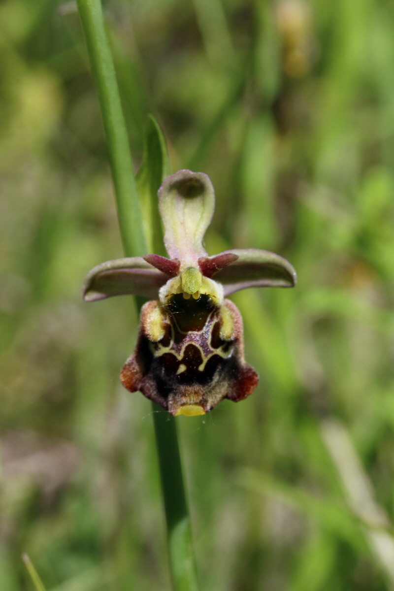 2017_05_26_032846p_Bildgr��e �ndern