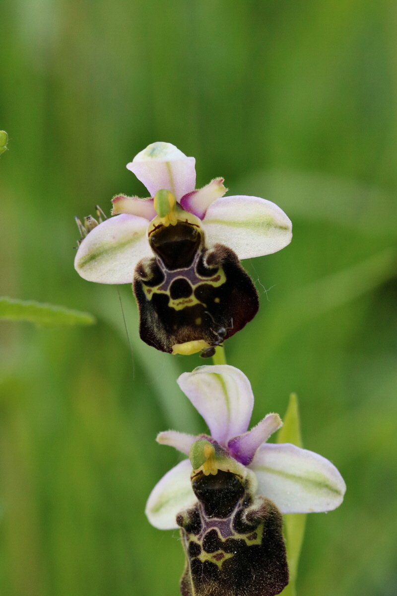 2017_05_26_032970p_Bildgr��e �ndern