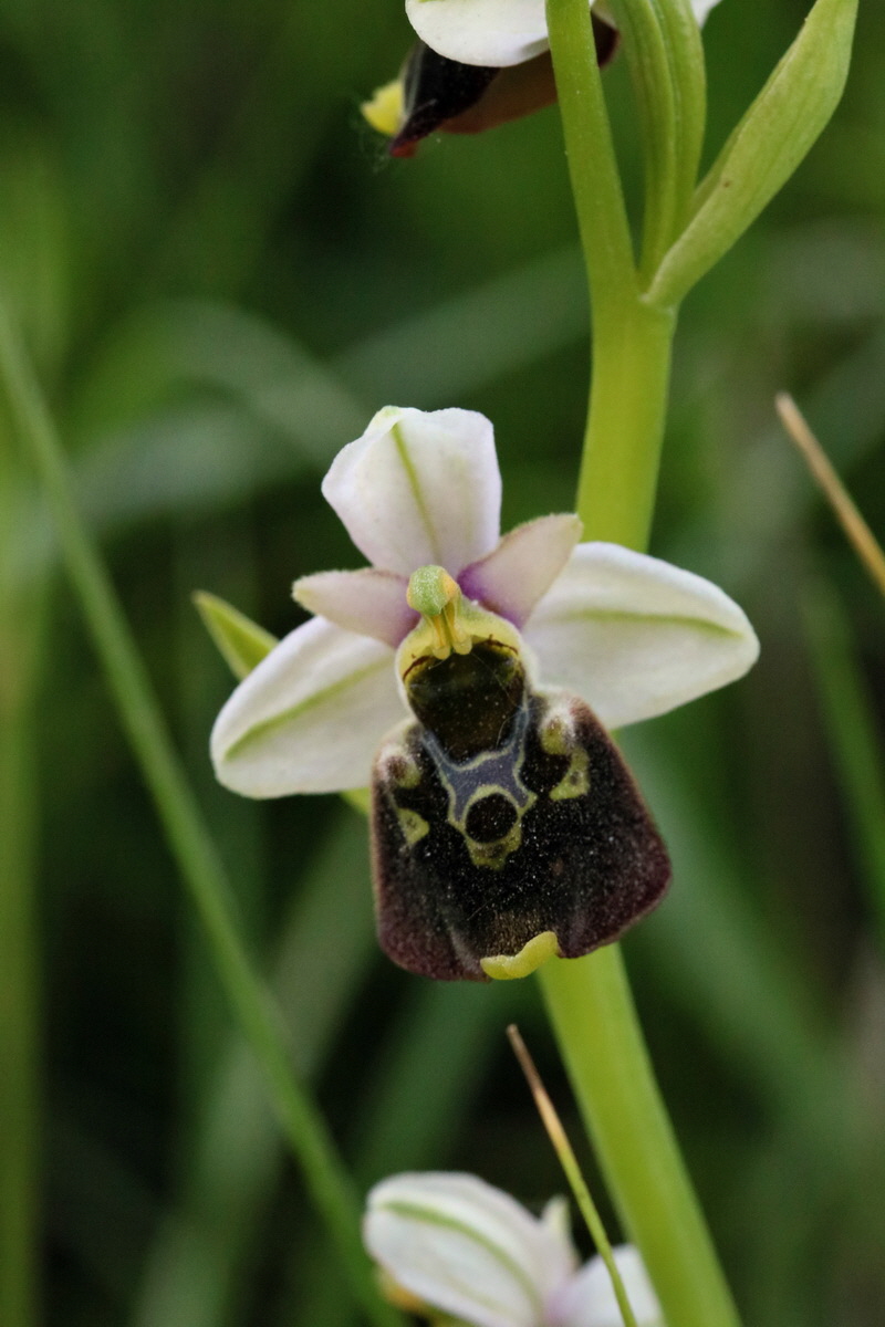 2017_05_26_032979p_Bildgr��e �ndern