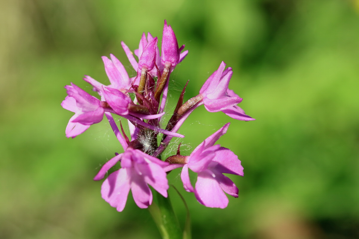 2017_05_26_033109p_Bildgr��e �ndern