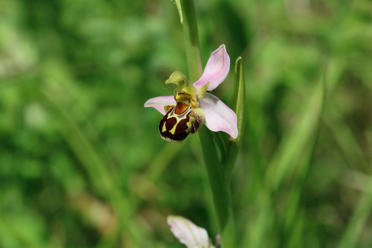 2017_05_26_033137p_Bildgr��e �ndern