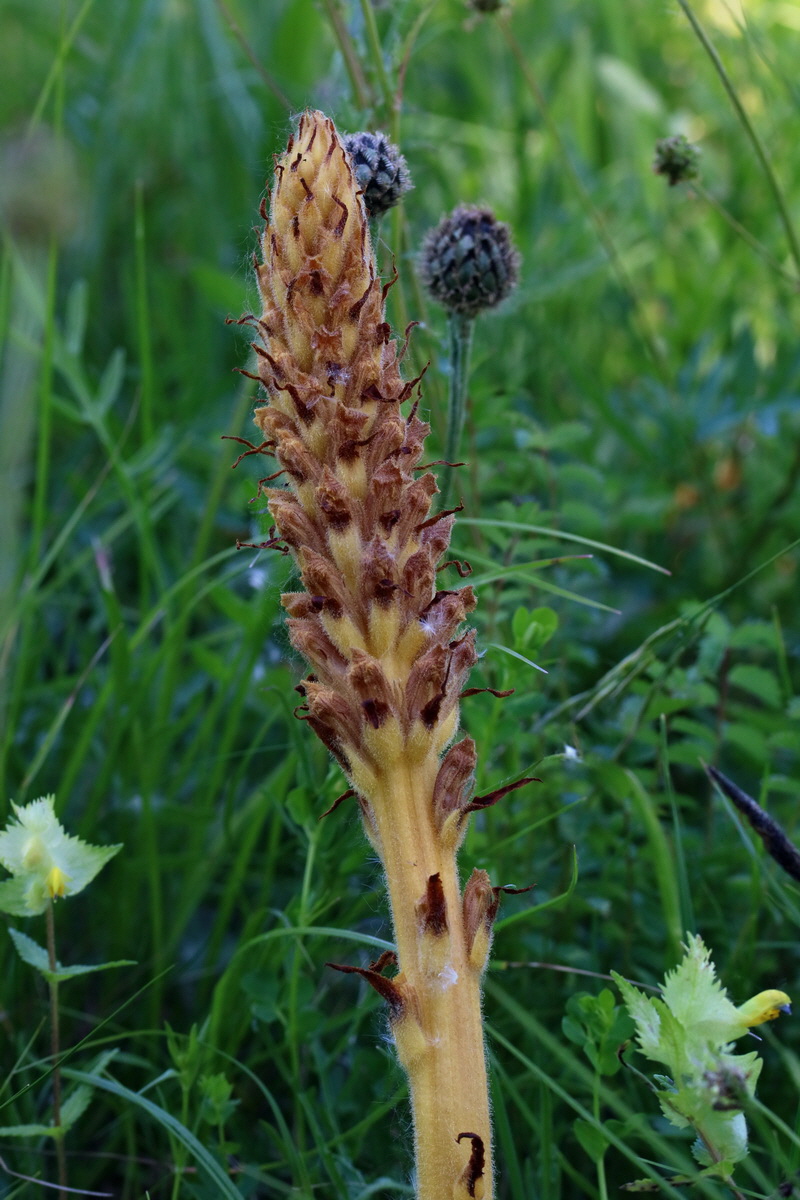 2017_05_26_033148p_Bildgr��e �ndern