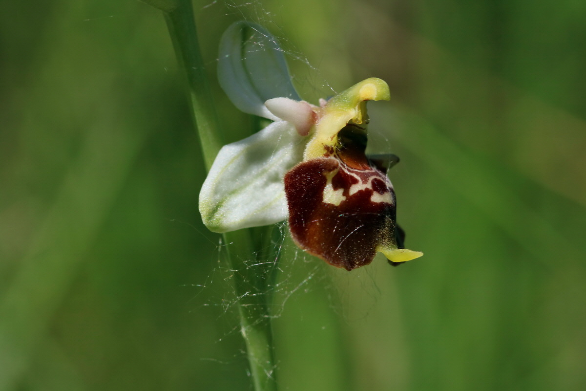 2017_05_26_033223p_Bildgr��e �ndern