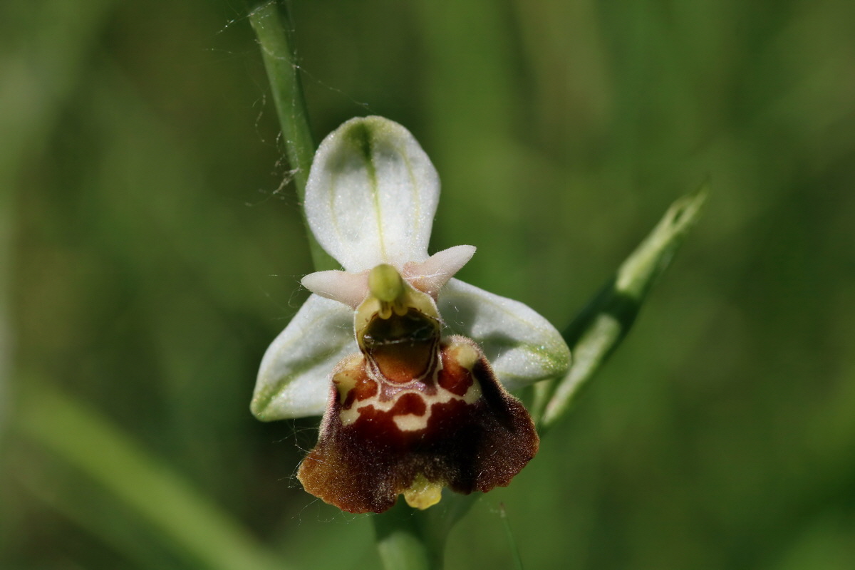 2017_05_26_033229p_Bildgr��e �ndern