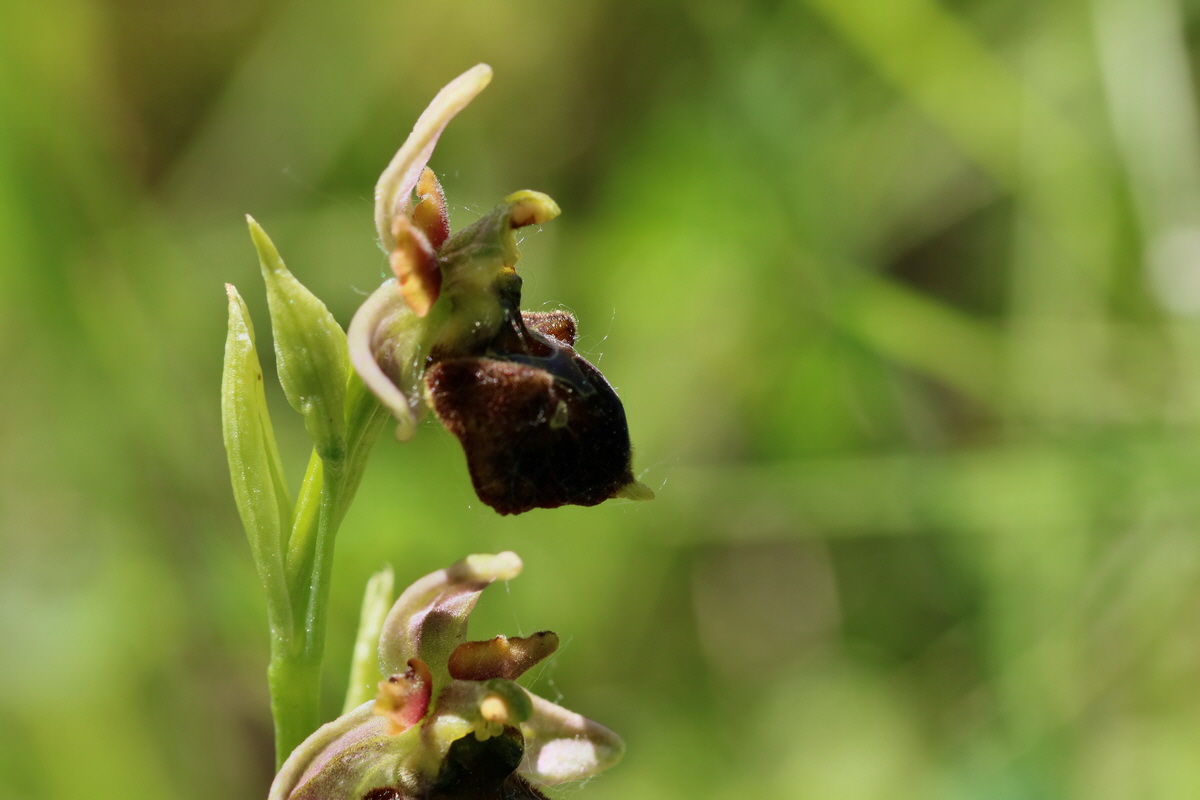 2017_05_26_033247p_Bildgr��e �ndern