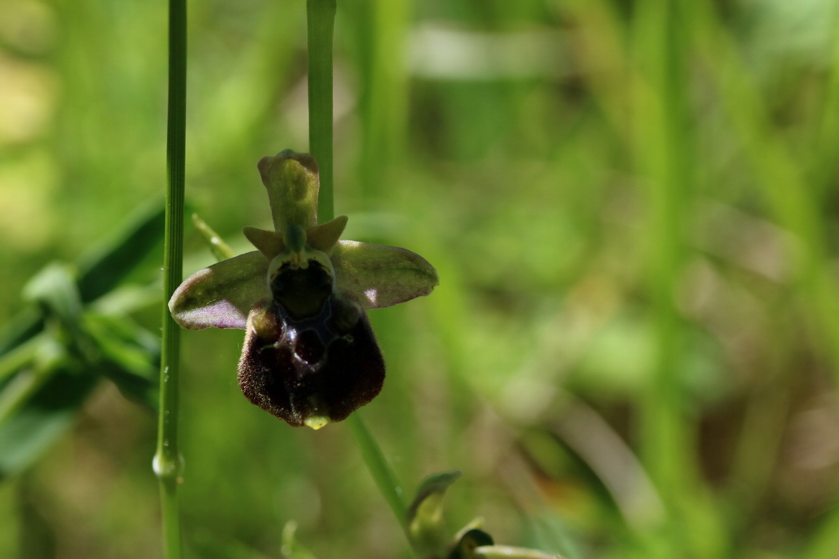 2017_05_26_033262p_Bildgr��e �ndern