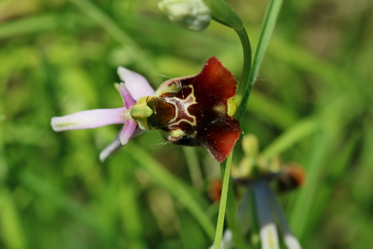 2017_05_26_033281p_Bildgr��e �ndern