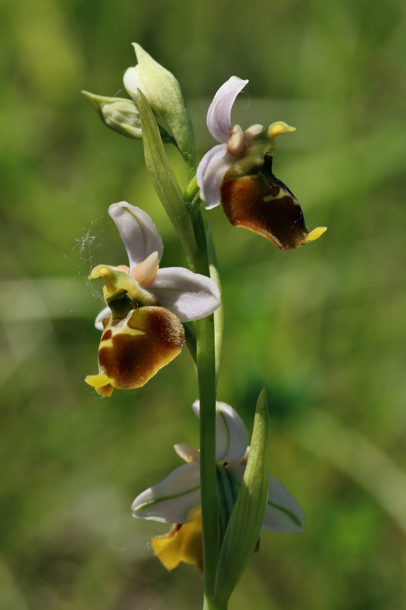 2017_05_26_033300p_Bildgr��e �ndern