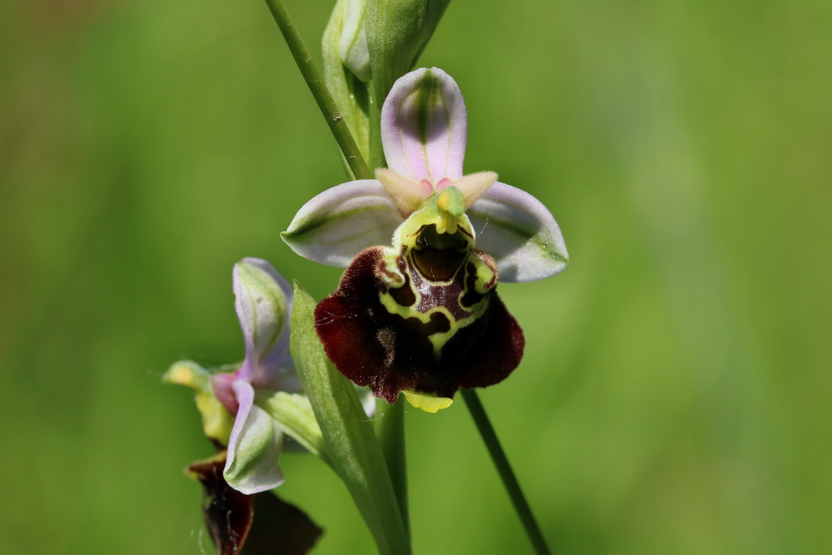 2017_05_26_033359p_Bildgr��e �ndern