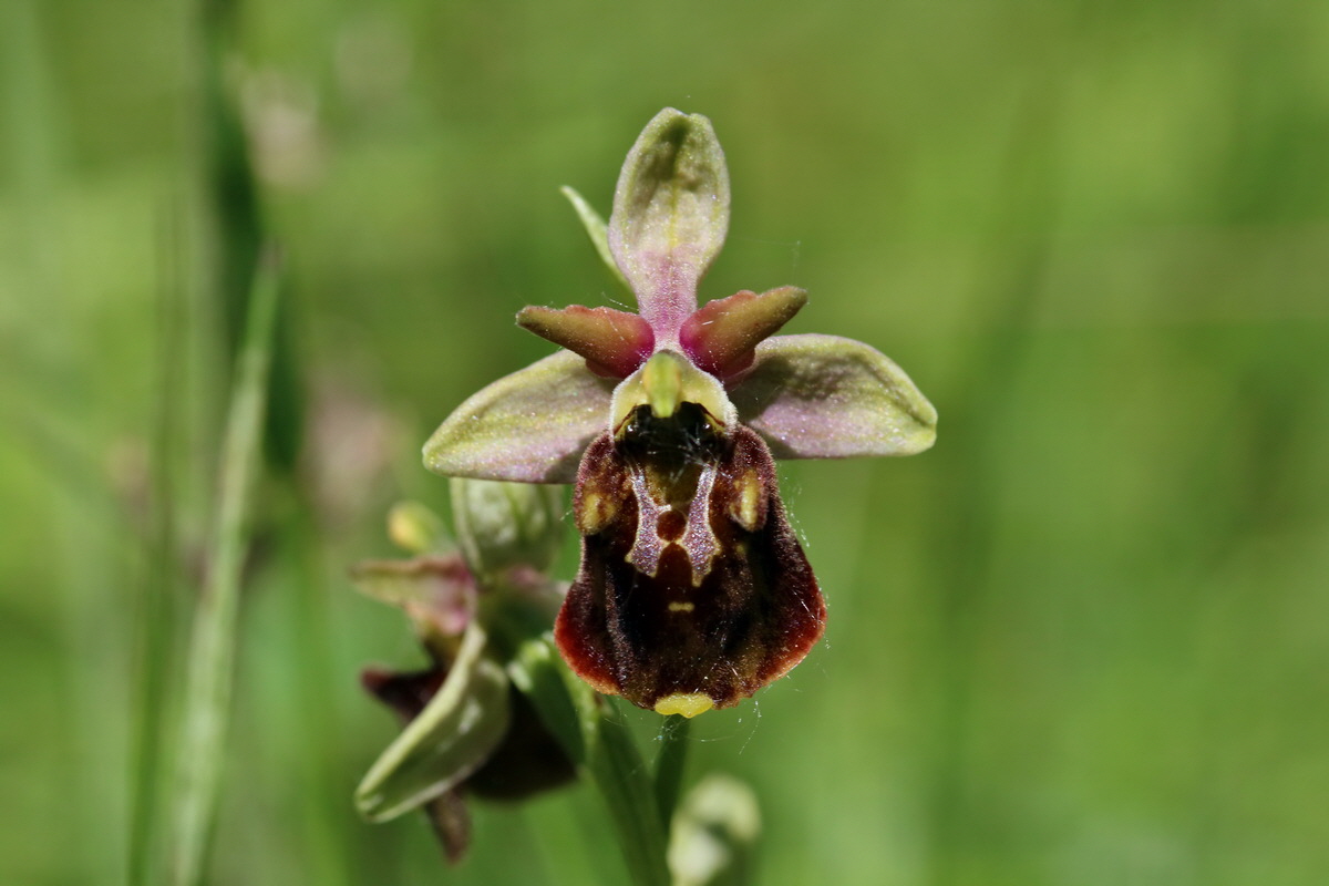 2017_05_26_033372p_Bildgr��e �ndern