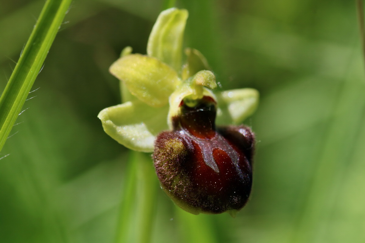 2017_05_26_033418p_Bildgr��e �ndern