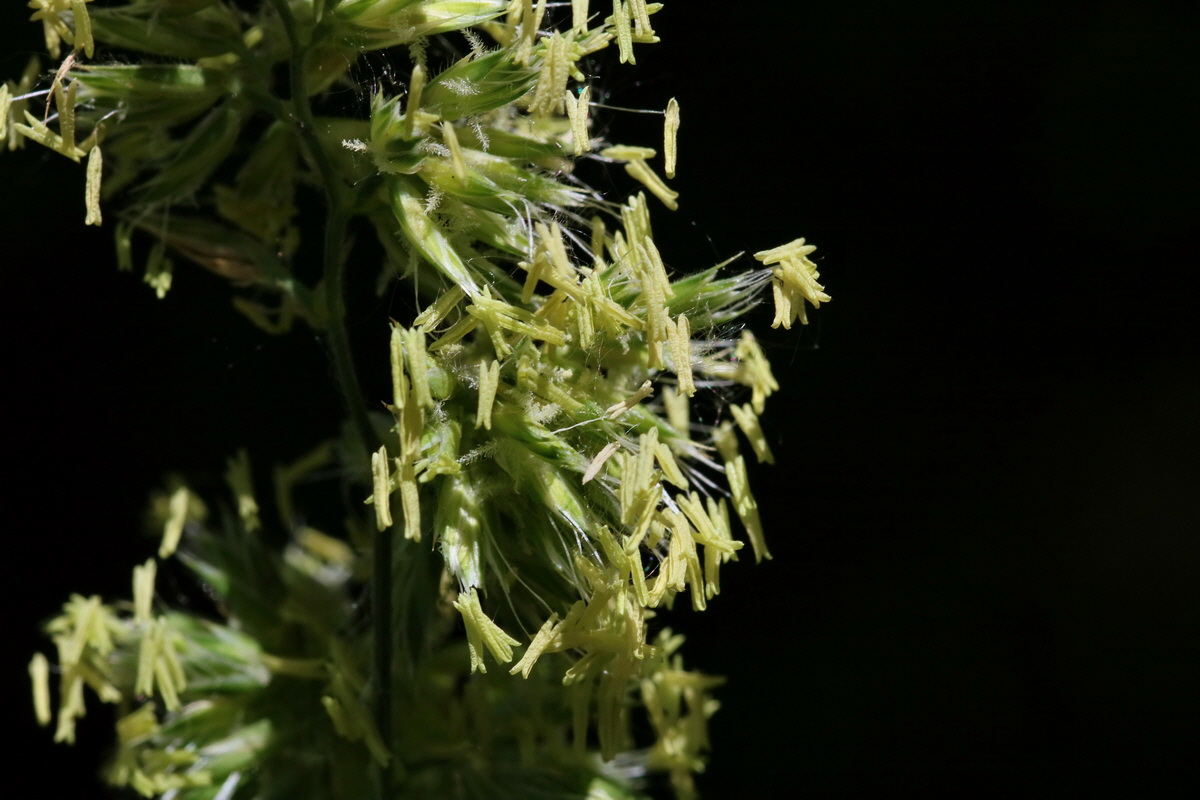 2017_05_26_033437p_Bildgr��e �ndern