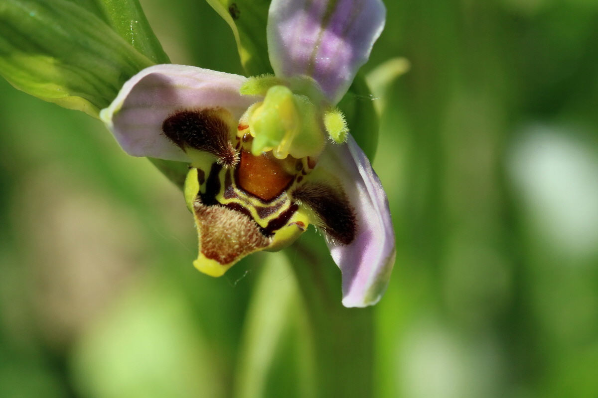 2017_05_26_033474p_Bildgr��e �ndern