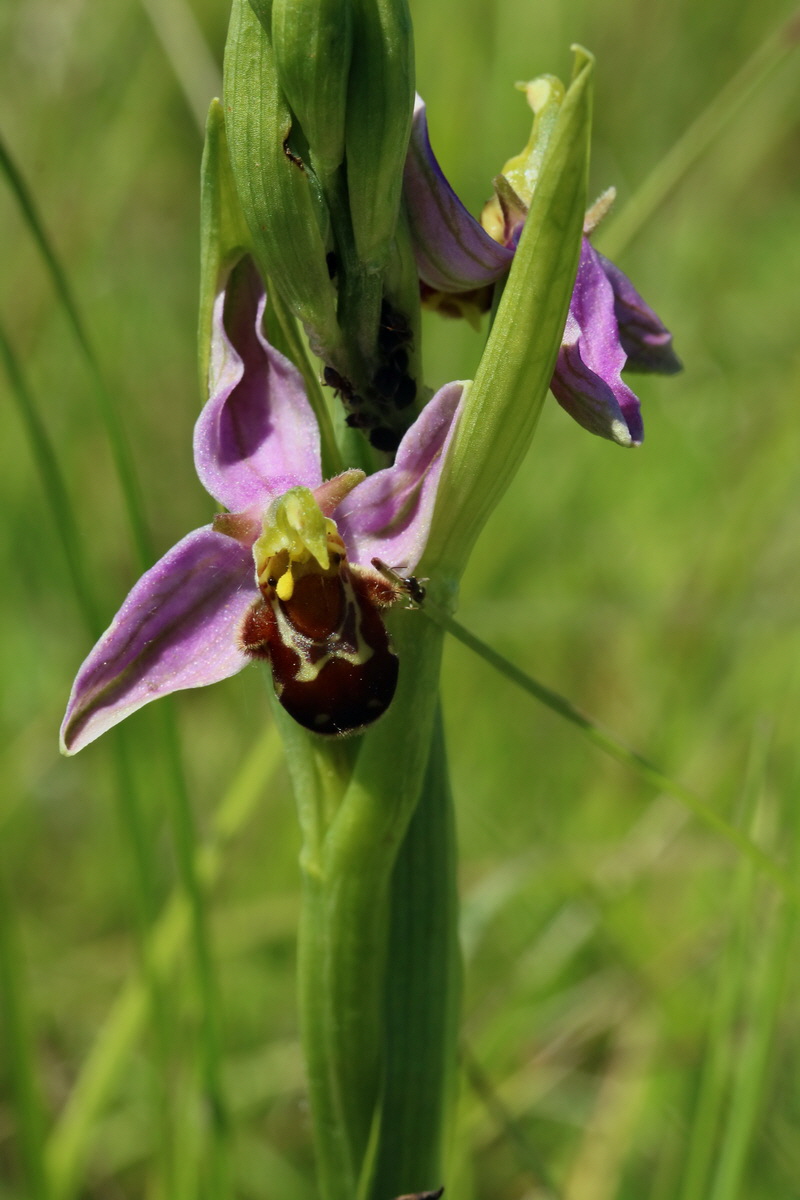 2017_05_26_033489p_Bildgr��e �ndern