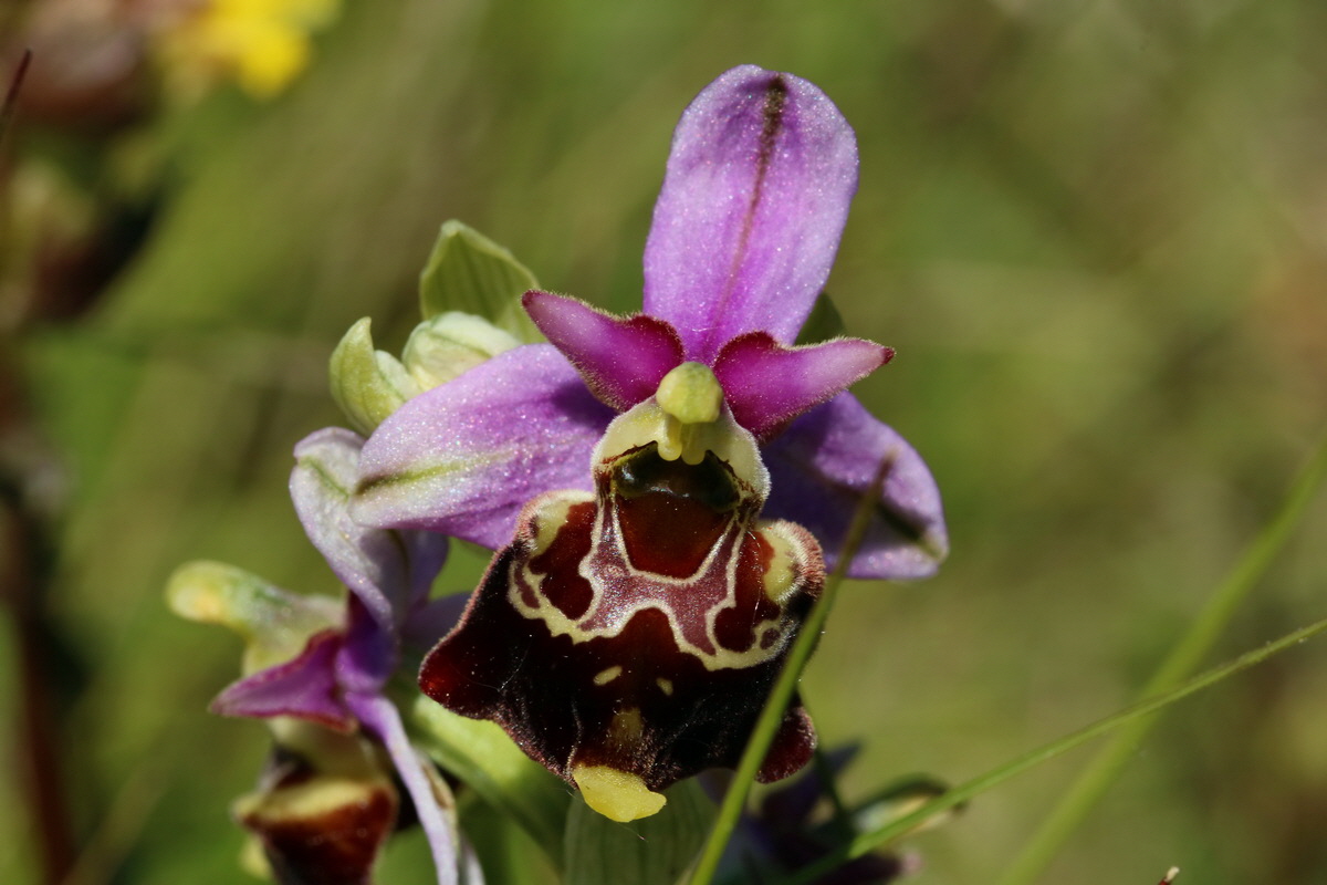 2017_05_26_033519p_Bildgr��e �ndern