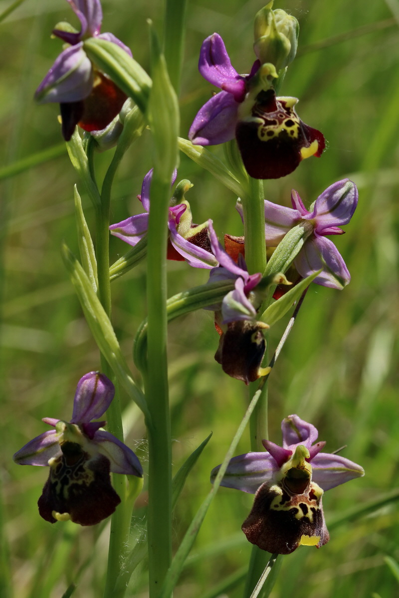 2017_05_26_033600p_Bildgr��e �ndern