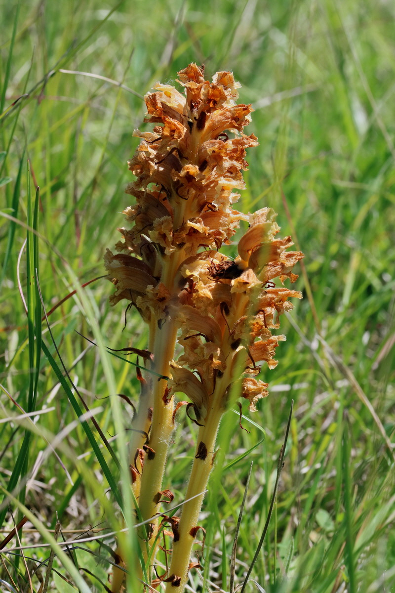 2017_05_26_033645p_Bildgr��e �ndern