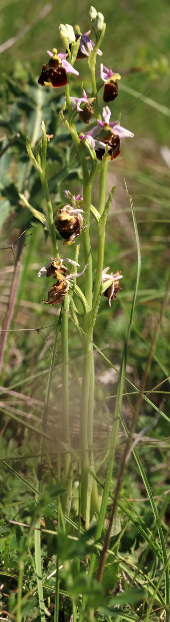 [Group 9]-2017_05_27_033832_2017_05_27_033851-20 images_Bildgr��e �ndern