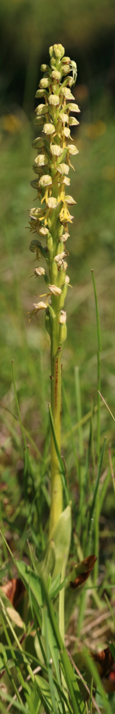 [Group 9]-2017_05_27_033970_2017_05_27_034025-29 images_Bildgr��e �ndern