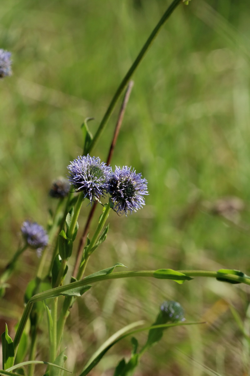 2017_05_27_033659p_Bildgr��e �ndern