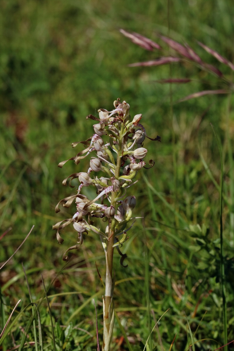 2017_05_27_033674p_Bildgr��e �ndern