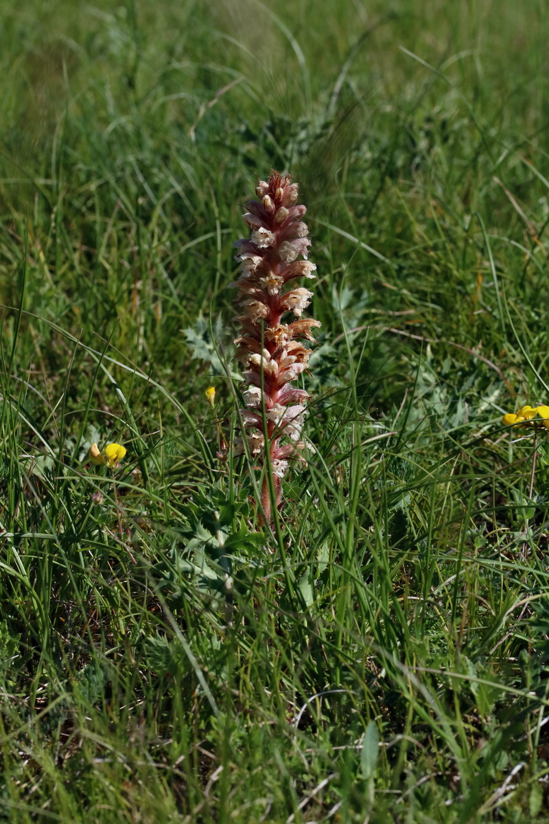 2017_05_27_033685p_Bildgr��e �ndern